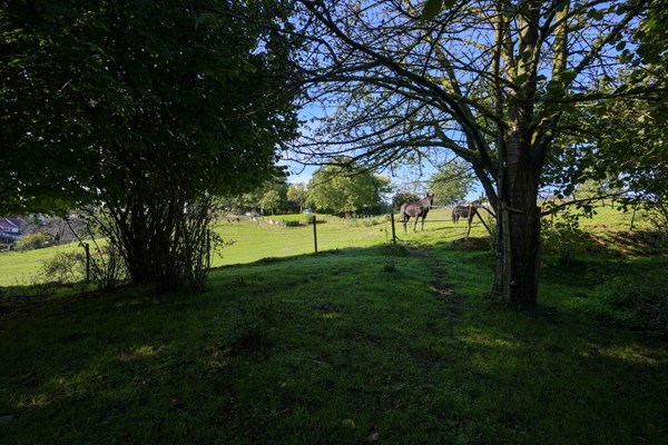 Medium property photo - Geulhemmerweg 15, 6325 PH Berg en Terblijt